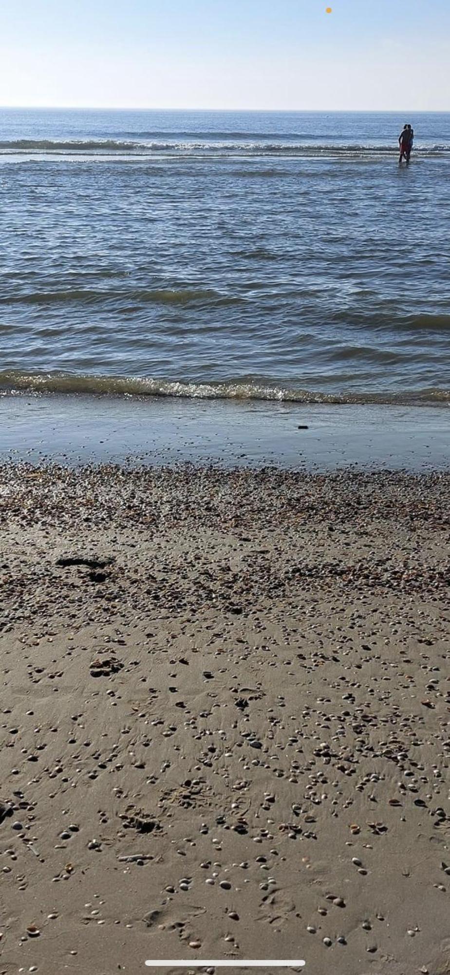 Vakantiehuisje Aan Zee Met Dakterras Rust En Strand 250 M Egmond aan Zee Bagian luar foto